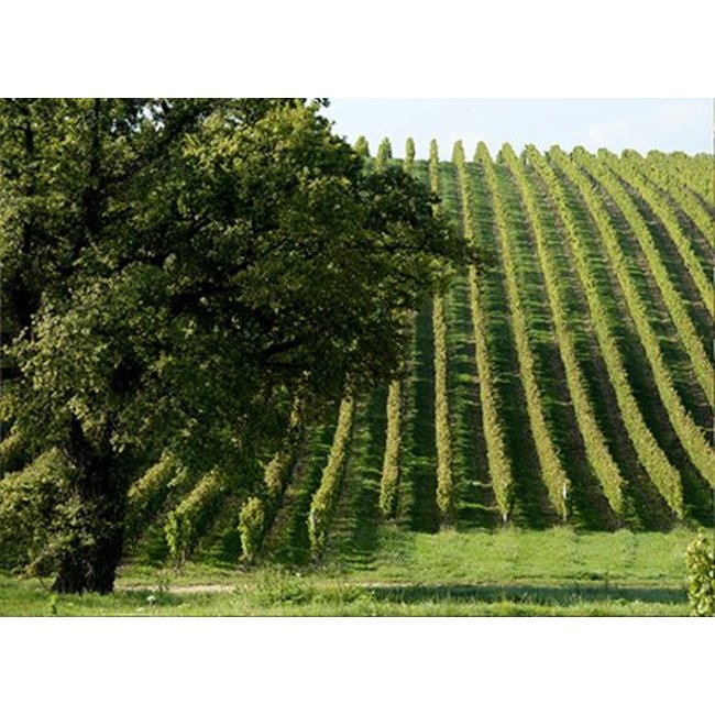 1-fles wijnkist Château Baracan - Côtes de Bordeaux, Frankrijk