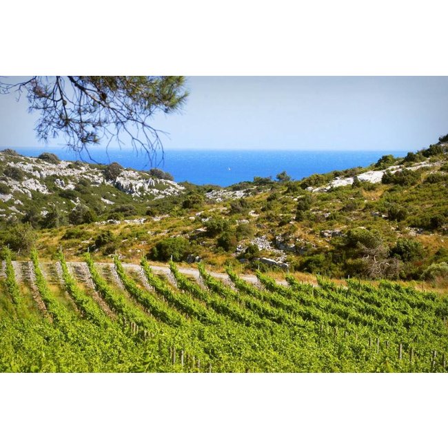 Nr. 22 Chardonnay / Viognier Réserve The Finest Grapes - Pays d'Oc, Frankrijk