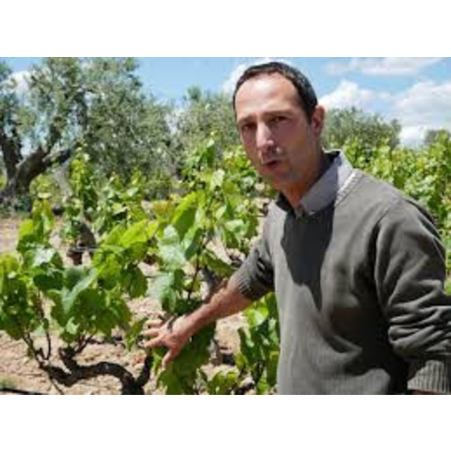 Nr. 16 Xarel·lo / Macabeo / Chardonnay The Finest Grapes - Penedès, Spanje