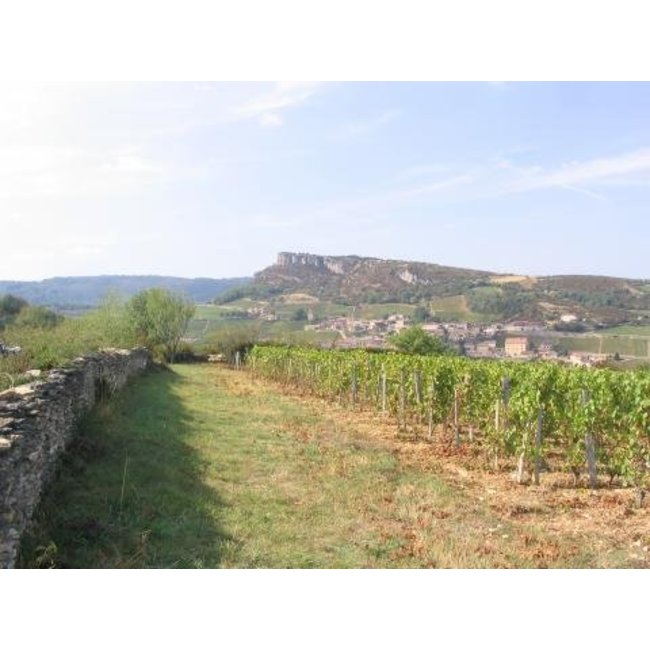 Pouilly-Fuissé La Frèrie 2022 Domaine Auvigue - Bourgogne, Frankrijk