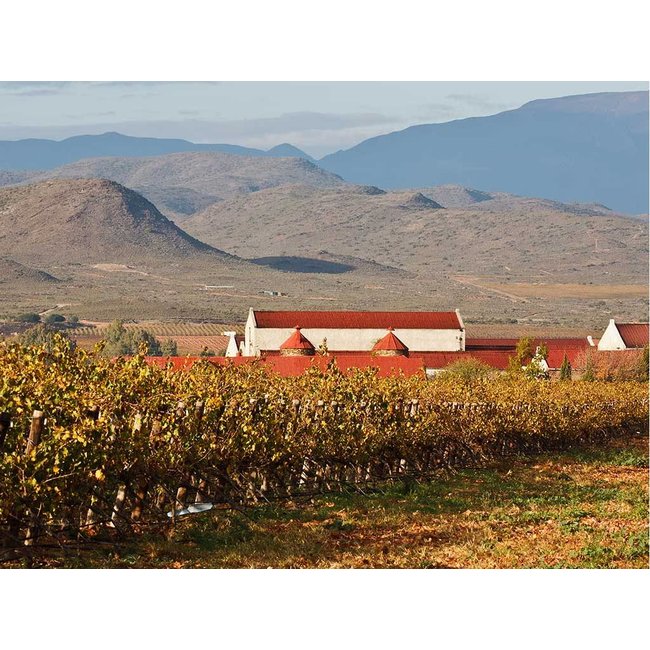 Life From Stone Sauvignon Blanc Springfield Estate - Robertson Valley, Zuid-Afrika