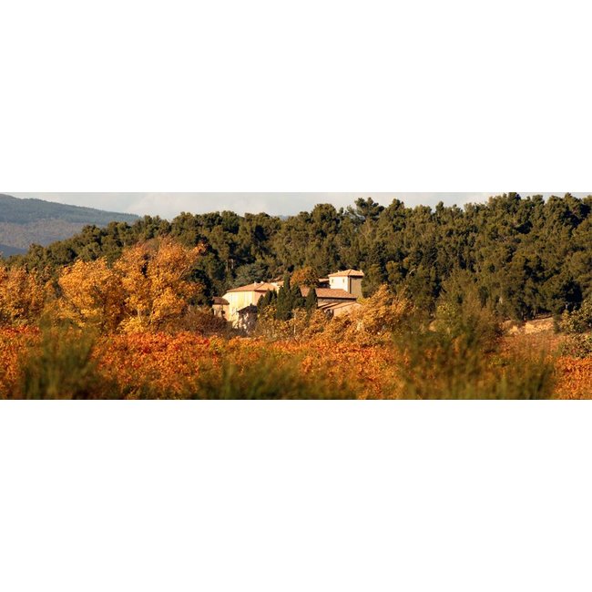 Château de Gourgazaud Le Chardonnay Barrique - La Livinière, Frankrijk