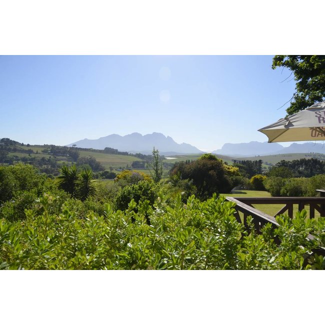 Chardonnay Chavant Louisvale - Stellenbosch, Zuid-Afrika