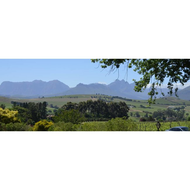 Chardonnay Chavant Louisvale - Stellenbosch, Zuid-Afrika