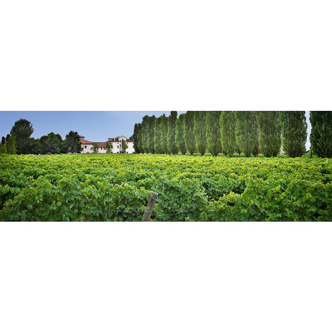 Paladin Pralis - Veneto, Italië