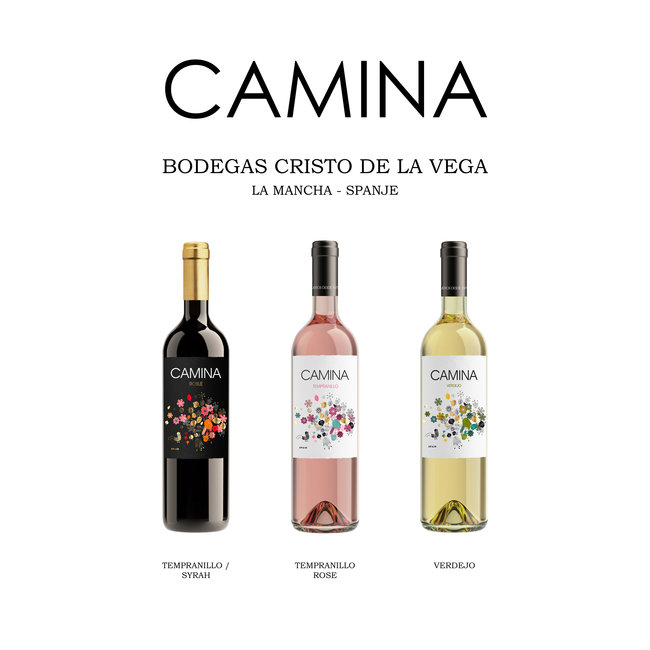 Bodegas Cristo de la Vega Camina Verdejo - La Mancha, Spanje