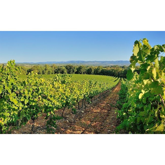 The Finest Grapes Nr. 62 Cuvée Unique rosé - Pays d'Hérault, Frankrijk