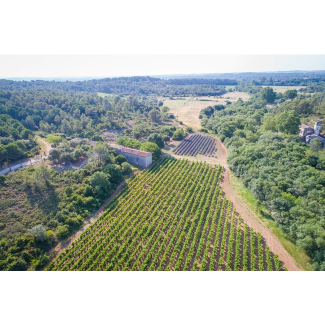 The Finest Grapes Nr. 62 Cuvée Unique rosé - Pays d'Hérault, Frankrijk