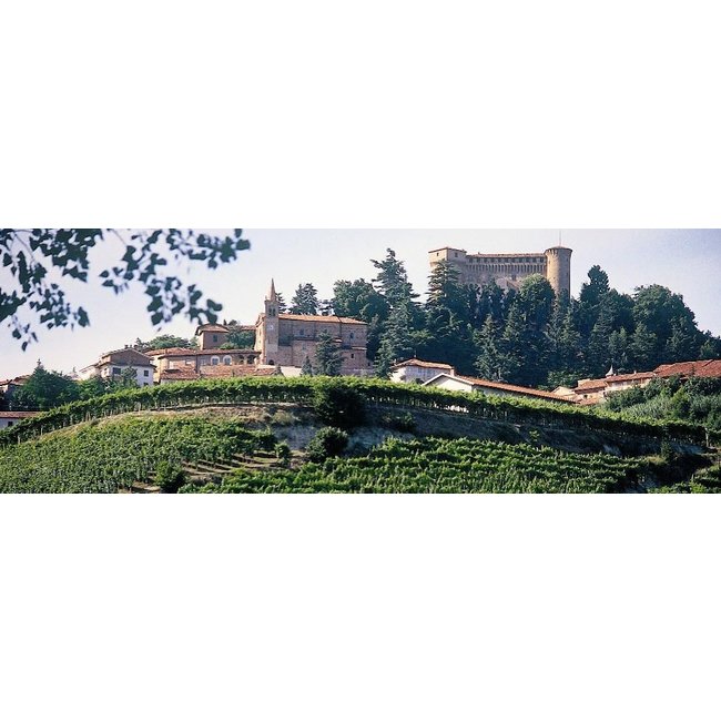 Vite Colte Gavi del Comune di Gavi  D.O.C.G. Cà da Bosio - Piëmonte, Italië