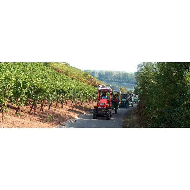 Weingut Georg Gustav Huff Riesling Eiswein 0,375L - Nierstein, Duitsland