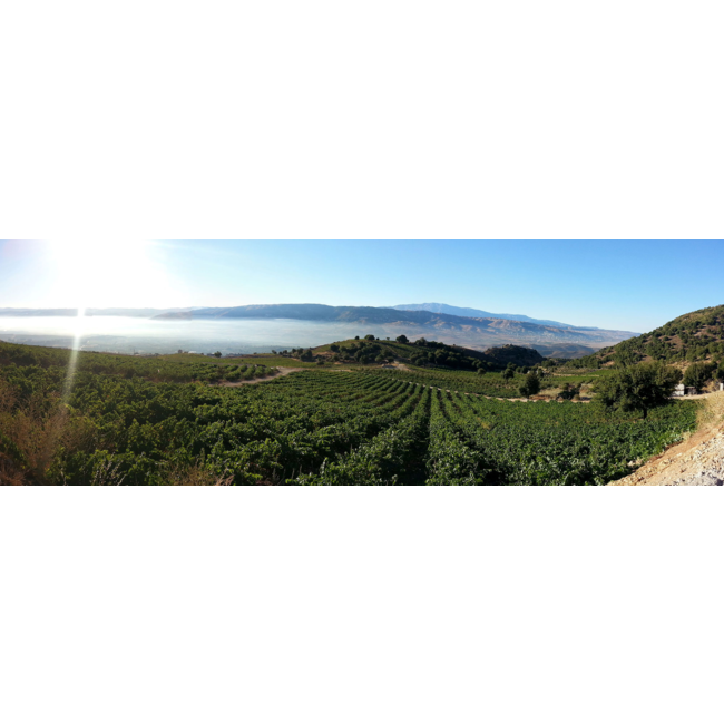 Château Qanafar Paradis de Qanafar 2013 - Bekaa Vallei, Libanon