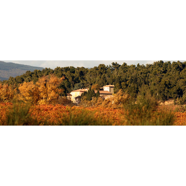 Château de Gourgazaud La Vigne de ma Mère Viognier 2022 - La Livinière, Frankrijk