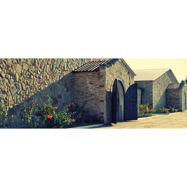 Salcuta Pinot Gris Winemaker's Way - Stefan Voda, Moldavië