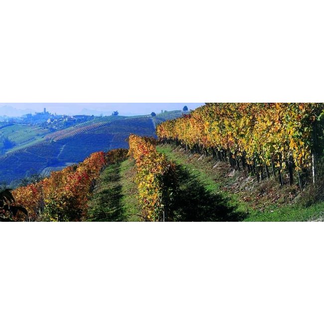 Vite Colte Barolo Riserva 2015 Essenze D.O.C.G. - Piëmonte, Italië