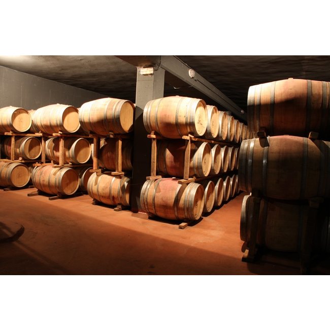 Señorío de Sotillo Reserva D.O. Bodega S. Arroyo 2017 - Ribera del Duero, Spanje