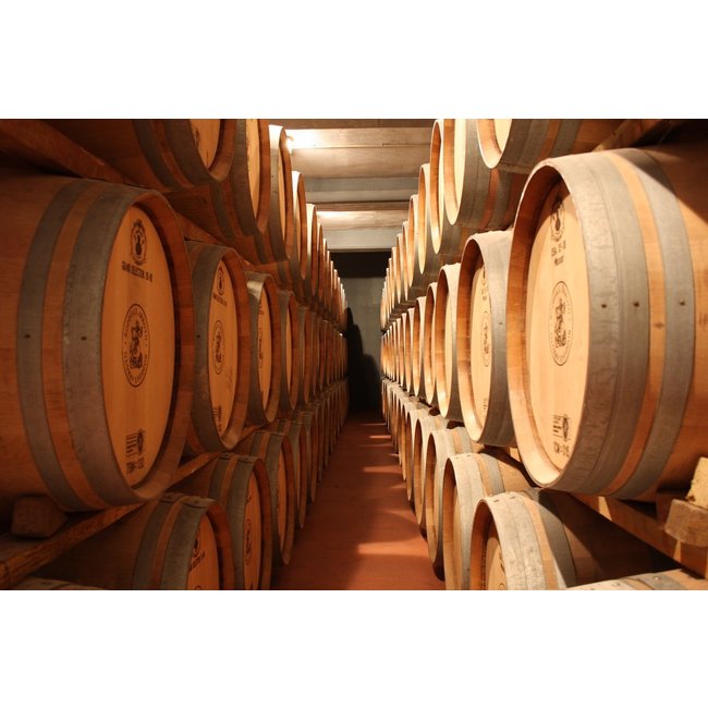 Señorío de Sotillo Reserva D.O. Bodega S. Arroyo 2017 - Ribera del Duero, Spanje