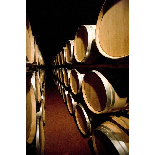 Señorío de Sotillo Crianza D.O. Bodega S. Arroyo 2021 - Ribera del Duero, Spanje