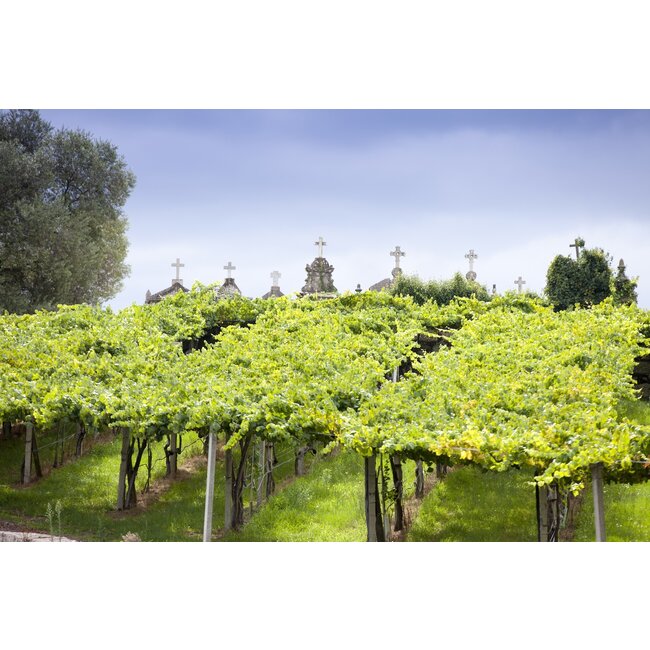 Rías Baixas D.O. Albariño Baixa Sirena De Andrés Sisters - Rias Baixas, Spanje