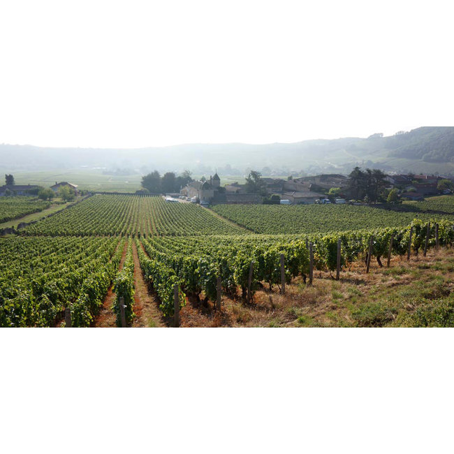 Château de Fuissé Bourgogne Blanc 2024 - Bourgogne, Frankrijk