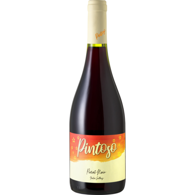 Rucahue Pintoso Pinot Noir Itata Valley D.O. - Itata Valley, Chili