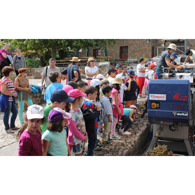 Quinta de Santa Eufémia Colheita 2009 - Douro, Portugal