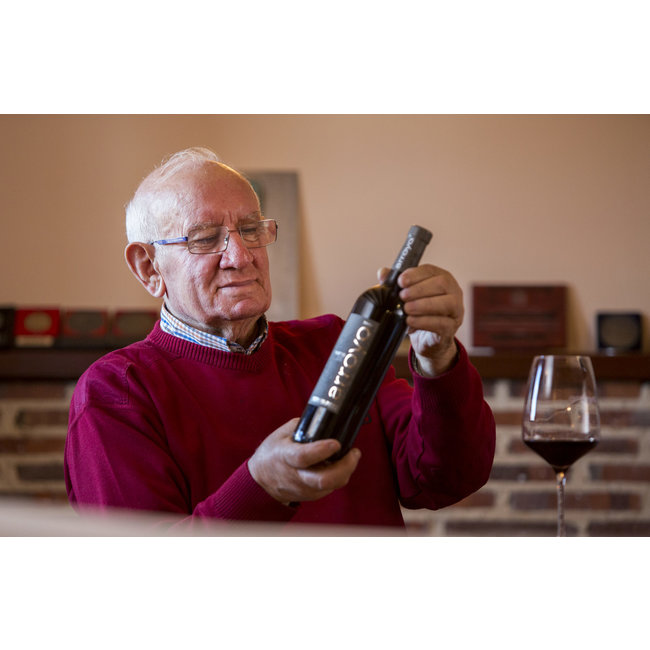 Señorío de Sotillo Roble D.O. Bodega S. Arroyo 2023 - Ribera del Duero, Spanje