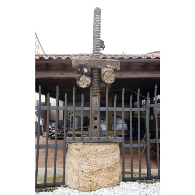 Señorío de Sotillo Roble D.O. Bodega S. Arroyo 2023 - Ribera del Duero, Spanje