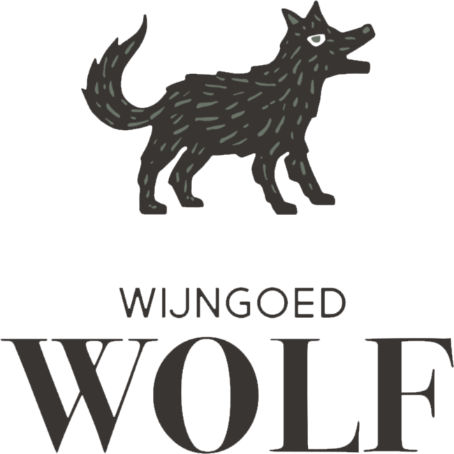 Wijngoed Wolf Gestelaer 2023 - Sint-Michielsgestel, Nederland