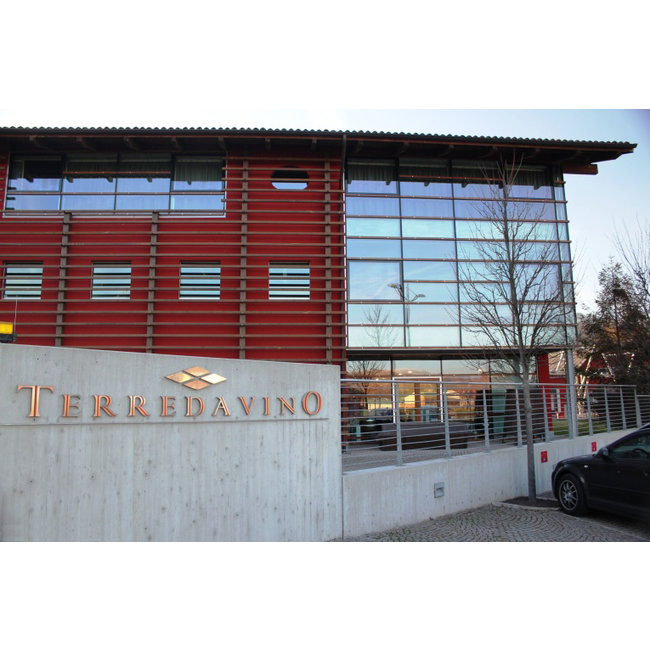 Vite Colte Malvasia di Castelnuovo Don Bosco Terre da Vino - Piëmonte, Italië