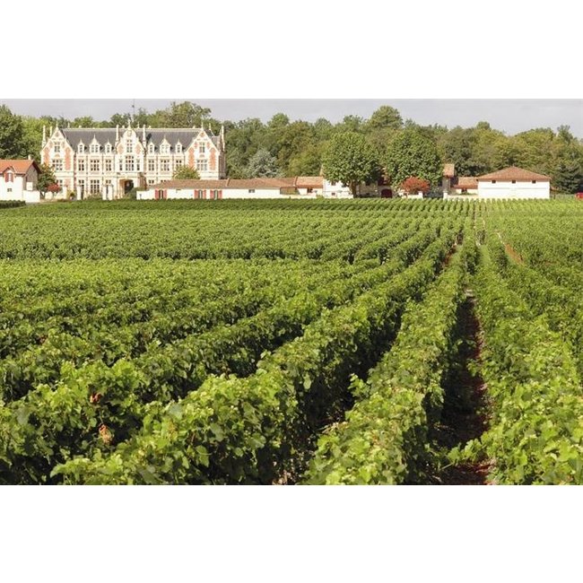 Château Cantenac Brown 3e Cru Margaux 2016 - Margaux, Bordeaux, Frankrijk