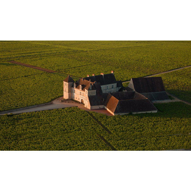 Maison Chanzy Clos de Vougeot Grand Cru 2015 - Bourgogne, Frankrijk