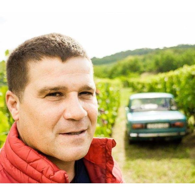 Márkvárt Winery Szekszárdi Bikavér - Szekszárd, Hongarije