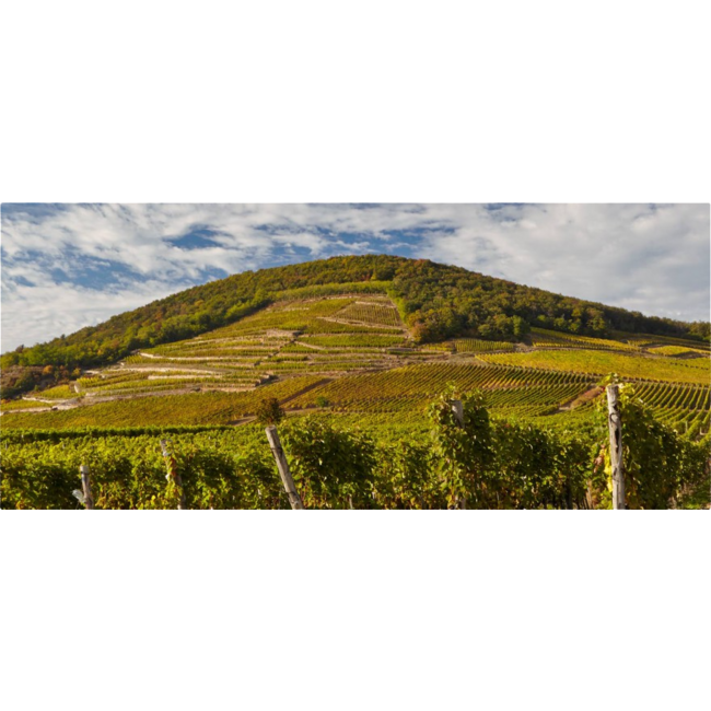 Barta Pince Öreg Király Dűlő Mád Furmint 2018 - Tokaj, Hongarije