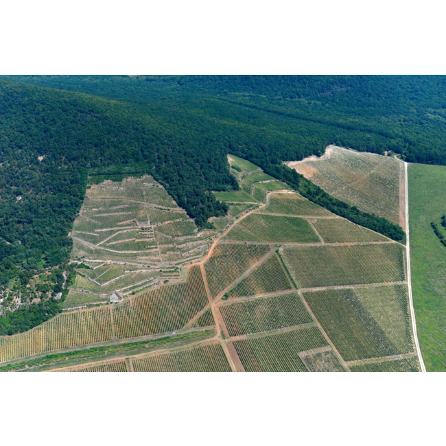 Barta Pince Öreg Király Dűlő Mád Furmint Késői Szüretelésű 2018 0,375L - Tokaj, Hongarije