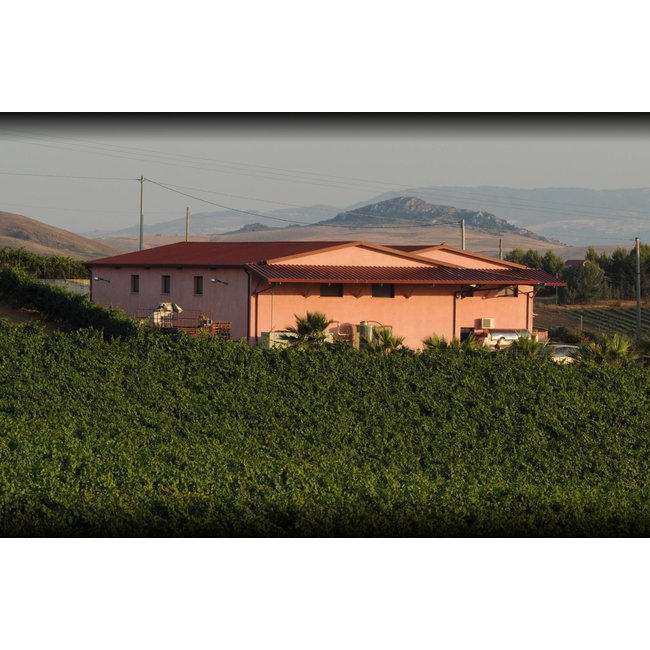 Don Tomasi Nero d'Avola-Cabernet IGP Terre Siciliane - Sicilië Italië