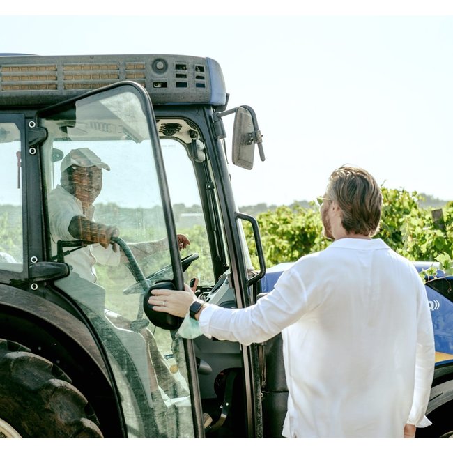 Calitro Ausilio Negroamaro Salento I.G.P. - Puglia, Italië