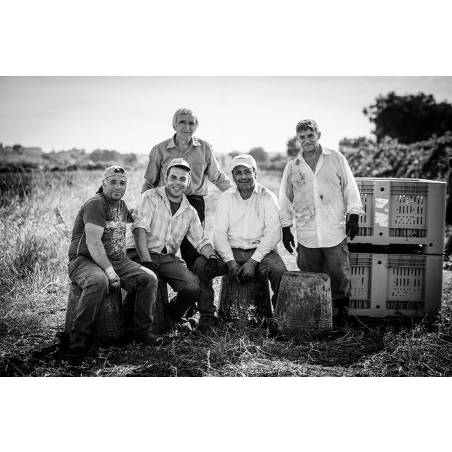 Calitro Ausilio Primitivo di Manduria D.O.P. - Puglia, Italië