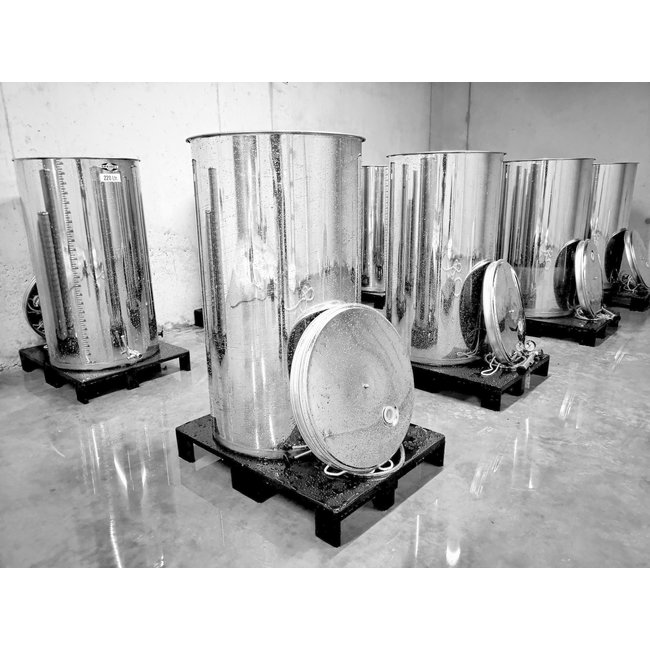 Wijngoed Wolf Johanniter 2023 - Sint-Michielsgestel, Nederland