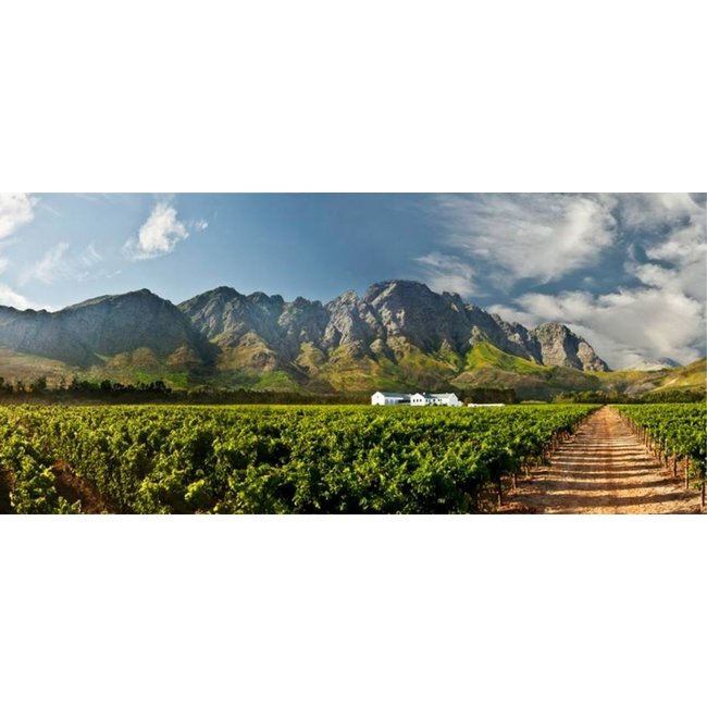 Holden Manz Wine Estate Chenin Blanc Wild Ferment 2021 - Franschhoek, Zuid-Afrika