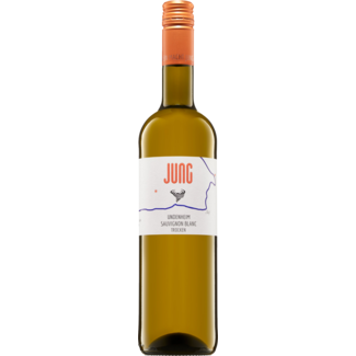 Weingut Jung Sauvignon Blanc trocken Undenheim Weingut Jung - Undenheim, Rheinhessen, Duitsland