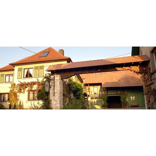 Weingut Jung Chardonnay Goldberg trocken 2022 - Undenheim, Rheinhessen, Duitsland