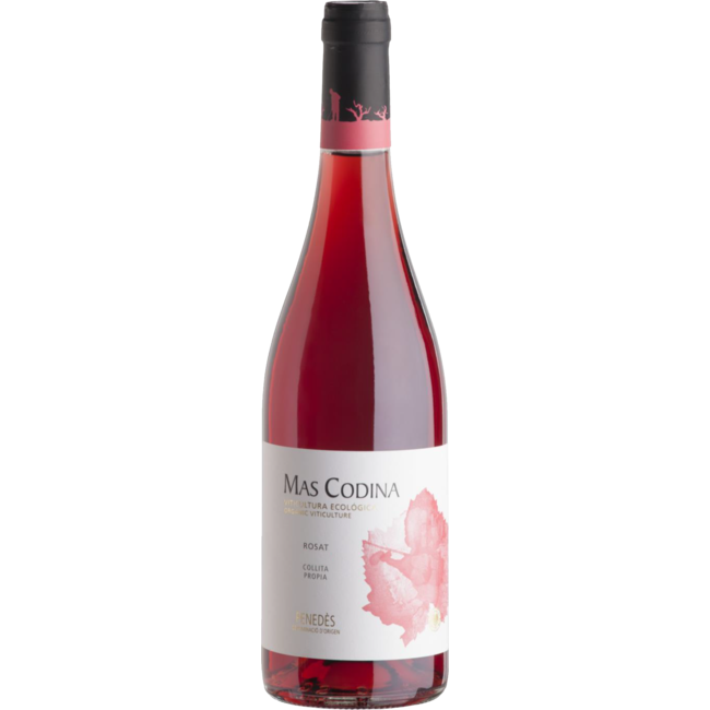 Mas Codina Rosat - Penedès, Spanje