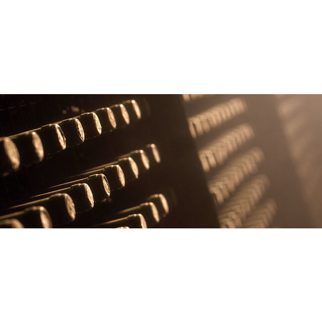 2-fles wijnkist Cecios Rioja Reserva & Rioja Blanco - Rioja, Spanje