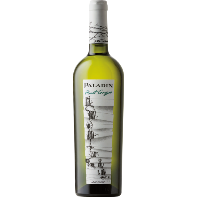 2-fles geschenk Pinot Grigio Paladin & Appassimento Progetto Vino  - Veneto/Puglia, Italië