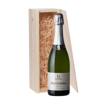 Mas Codina 1-fles wijnkist Mas Codina Cava - Penedès, Spanje