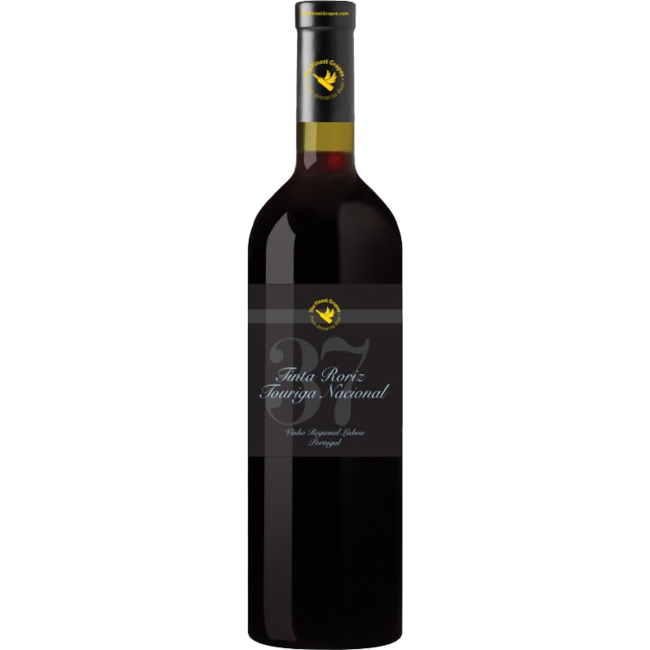 Nr. 37 Tinta Roriz / Touriga Nacional The Finest Grapes 2013 - Lissabon, Portugal