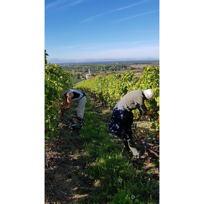 Château Loupiac-Gaudiet Loupiac - Loupiac, Frankrijk