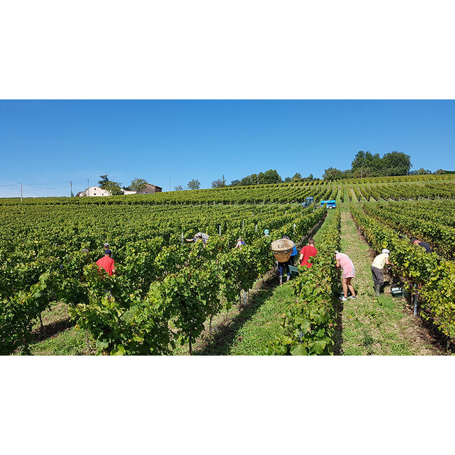 Château Loupiac-Gaudiet Loupiac - Loupiac, Frankrijk