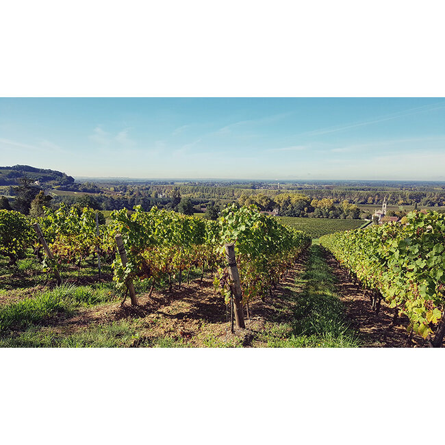 Château Loupiac-Gaudiet Loupiac - Loupiac, Frankrijk