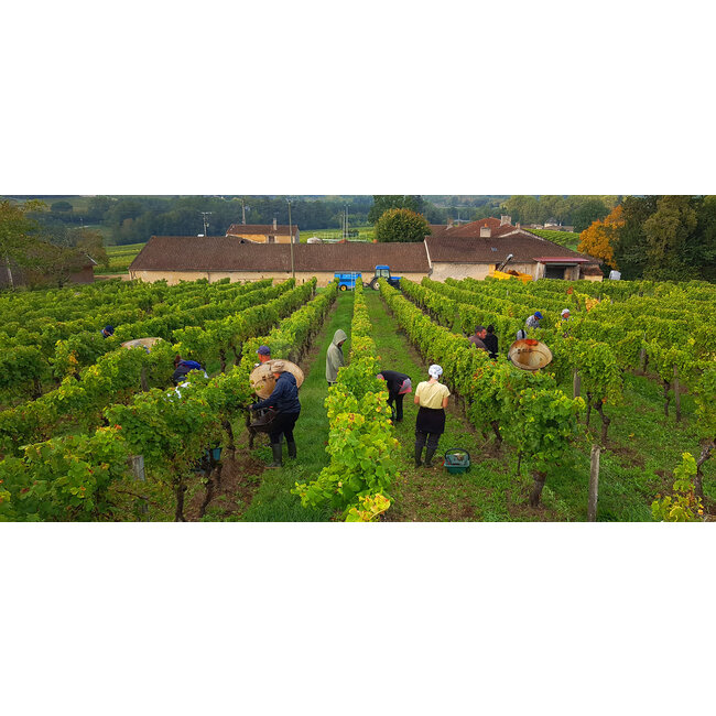 Château Loupiac-Gaudiet Loupiac - Loupiac, Frankrijk